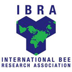 IBRA logo Update & New Branding